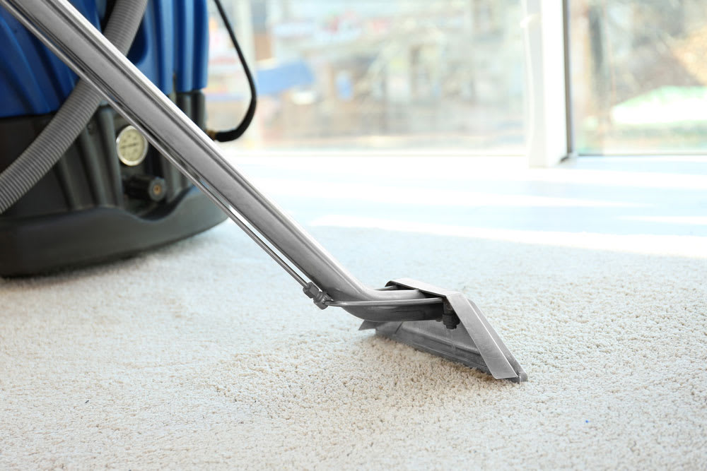 Find a carpet cleaning service near you